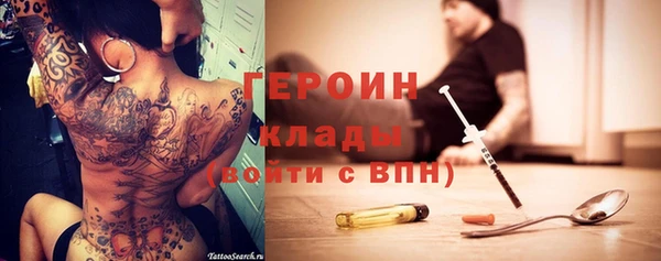 индика Дубна