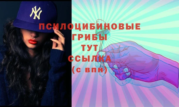 a pvp Рославль